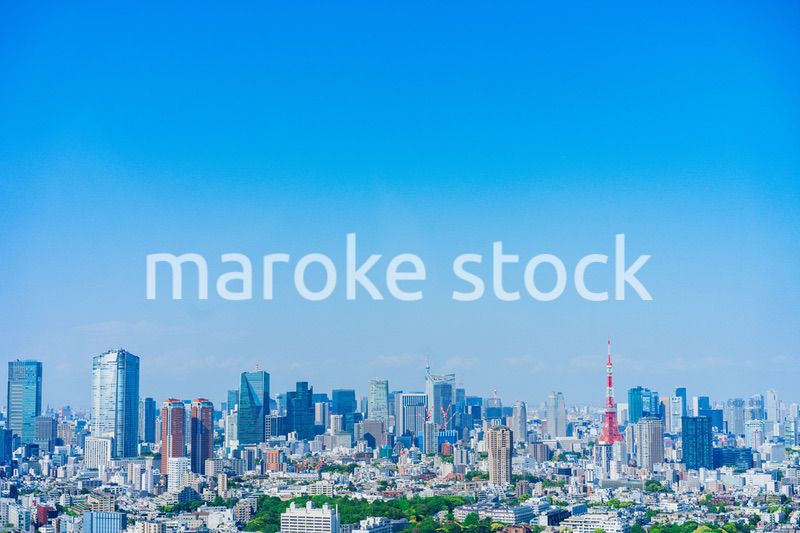 東京 都心の風景