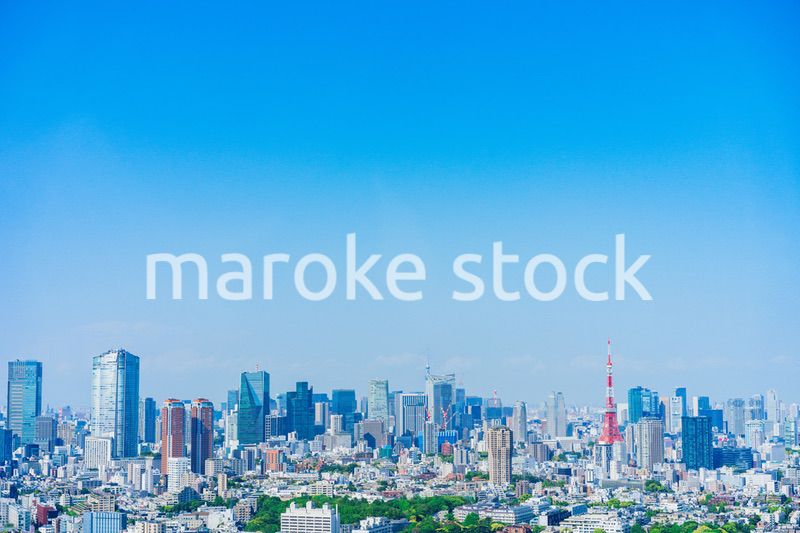 東京の都心風景