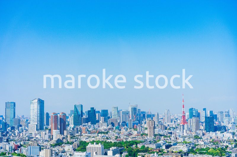 東京の都心風景