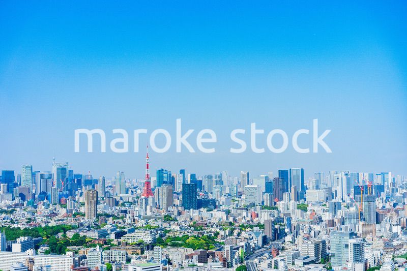 東京の都心風景