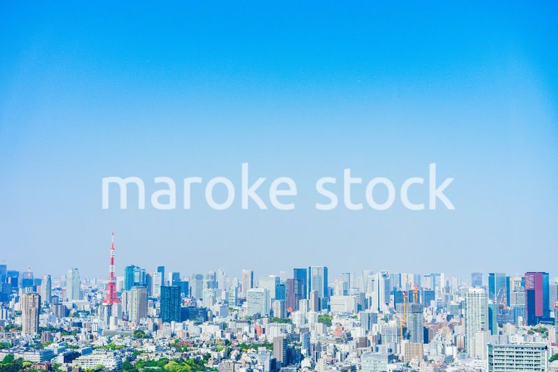 東京の都心風景