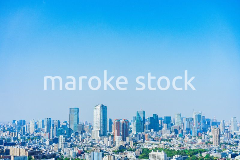 東京の都心風景