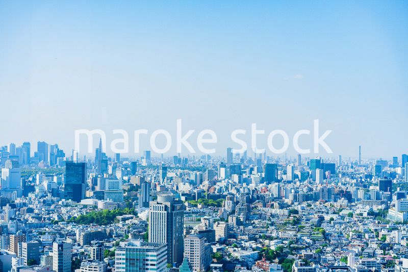 東京の都心風景