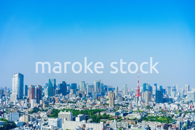 東京の都心風景