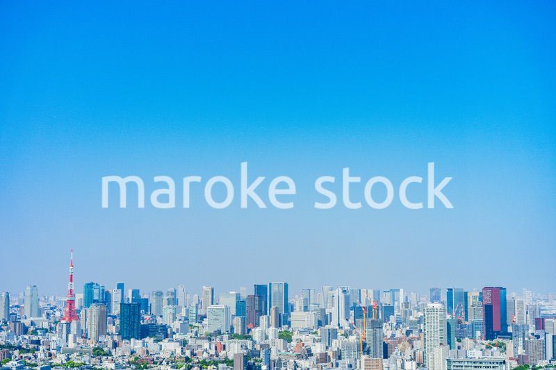 東京の都心風景