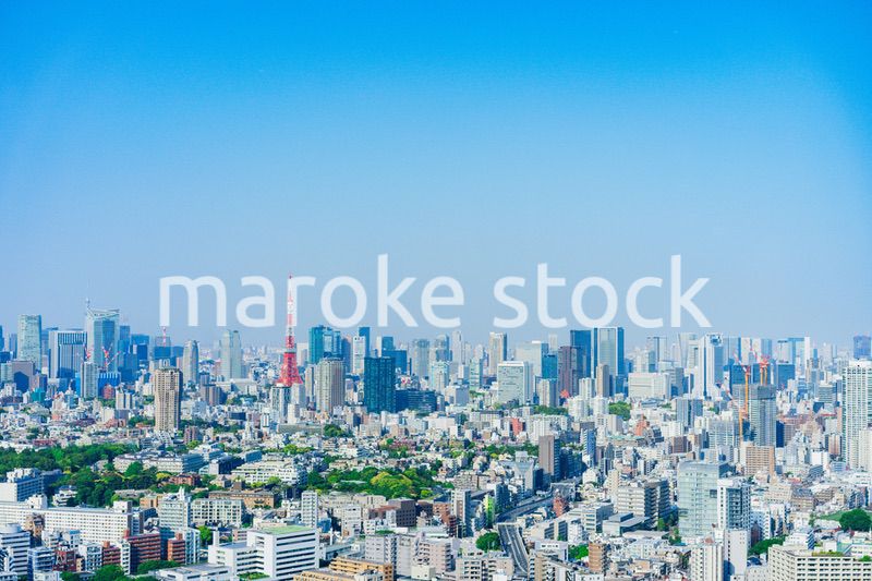 東京の都心風景