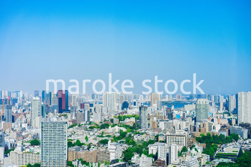 東京の都心風景