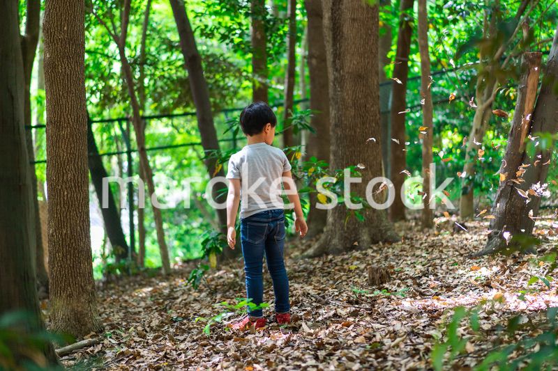 山で遊ぶ小さな男の子