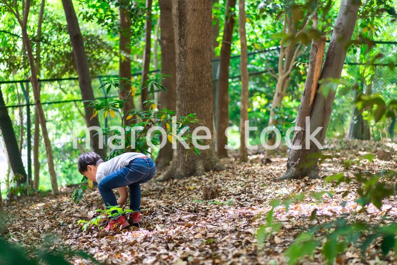 山で遊ぶ小さな男の子