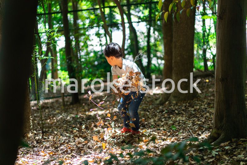 山で遊ぶ小さな男の子