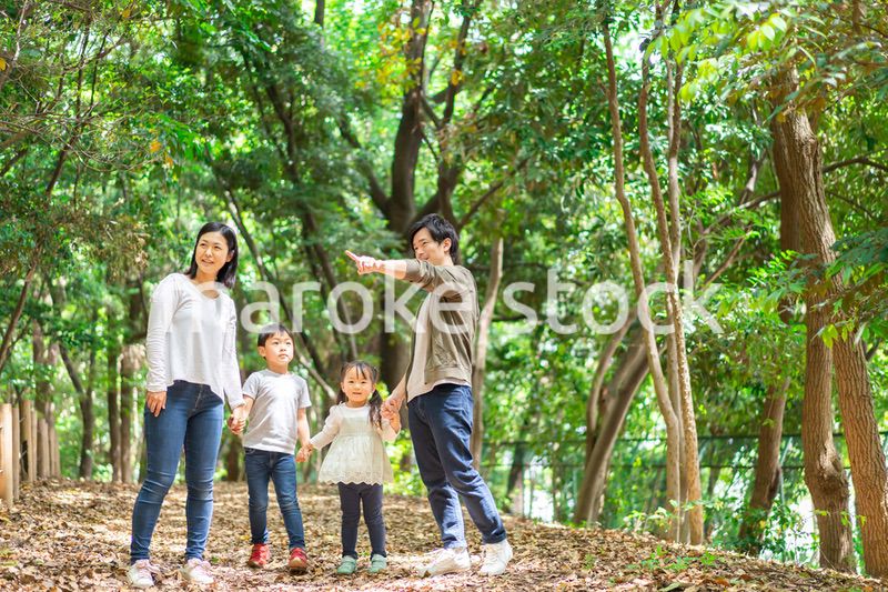 山でハイキングをするファミリー