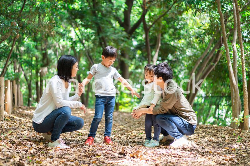山でハイキングをするファミリー