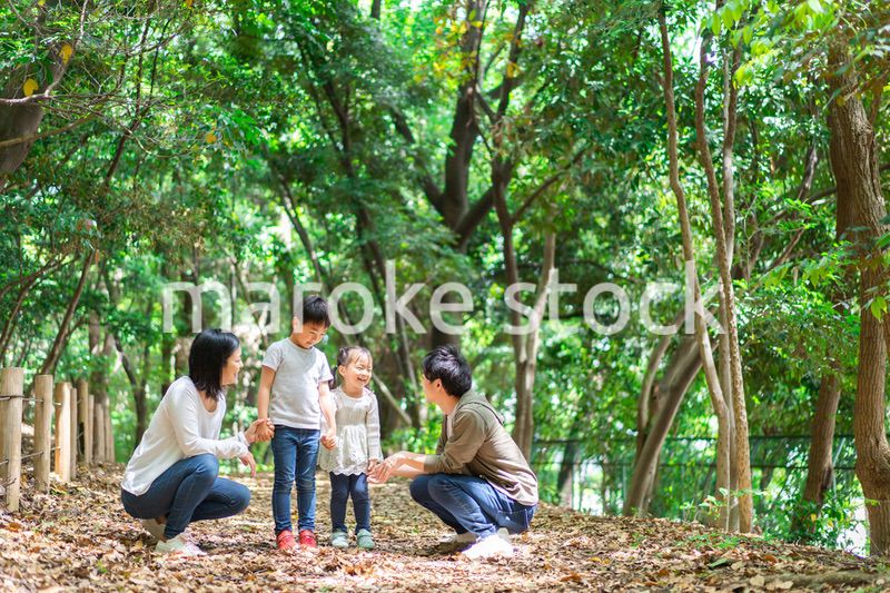 山でハイキングをするファミリー