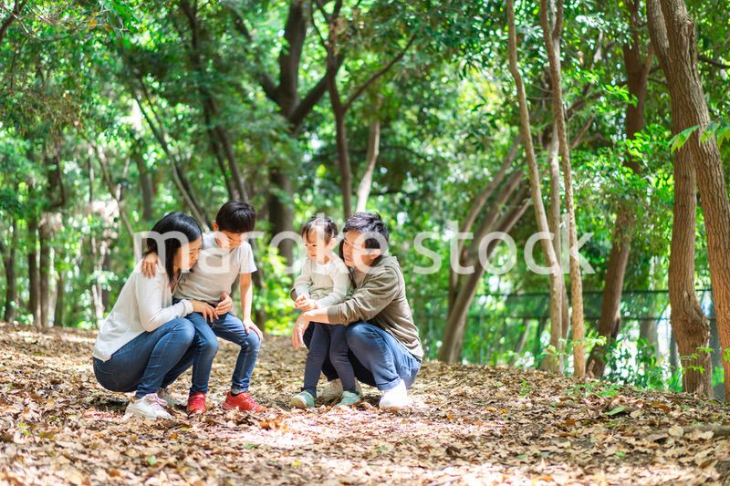 山でハイキングをするファミリー