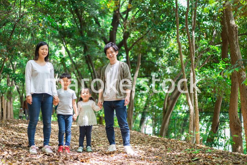 山でハイキングをするファミリー