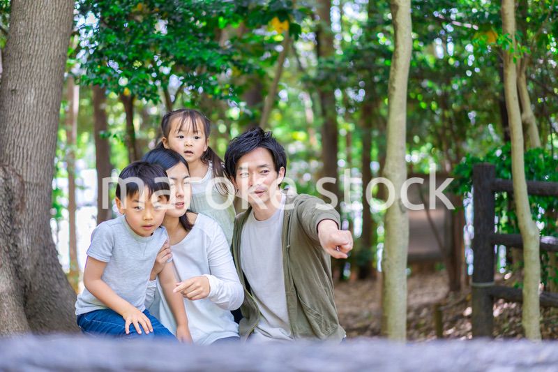 森で自然観察をするファミリー