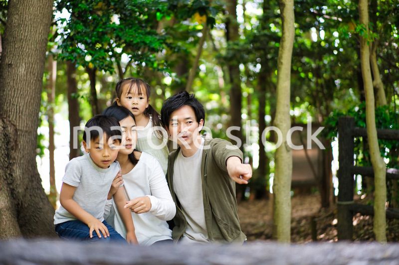 自然観察をする仲のいい家族