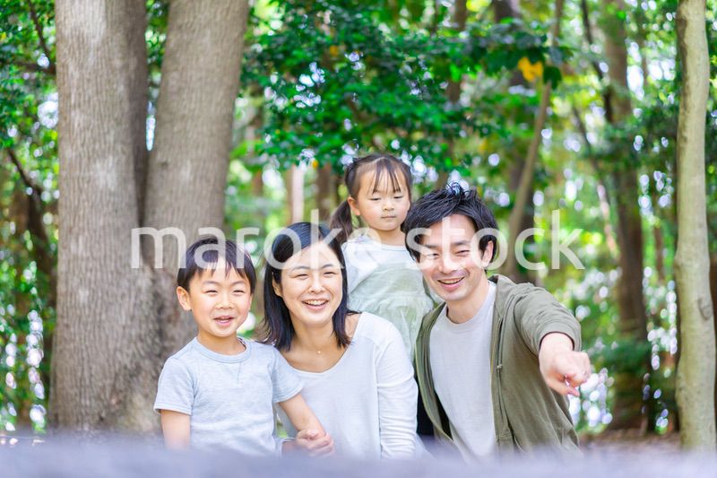 森で自然観察をするファミリー