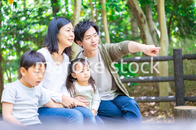 森で自然観察をするファミリー