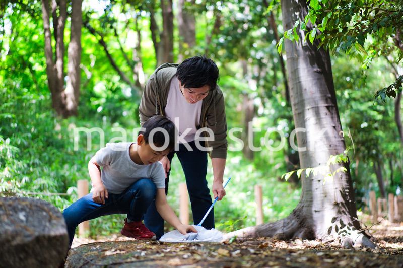 虫取りをする親子