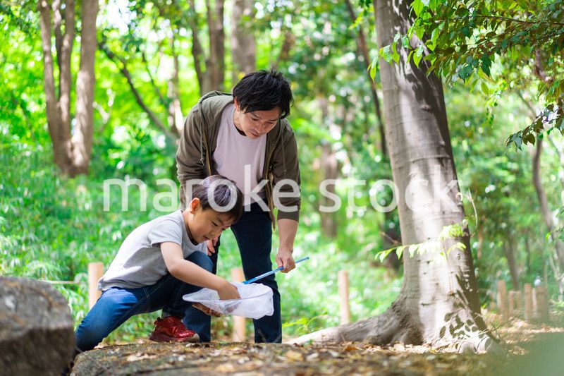虫取りをするお父さんと男の子