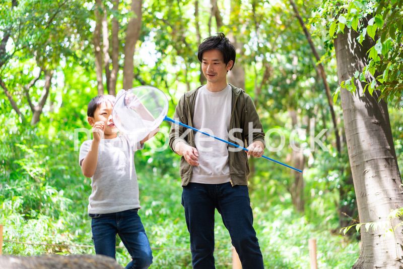 虫取りをするお父さんと男の子
