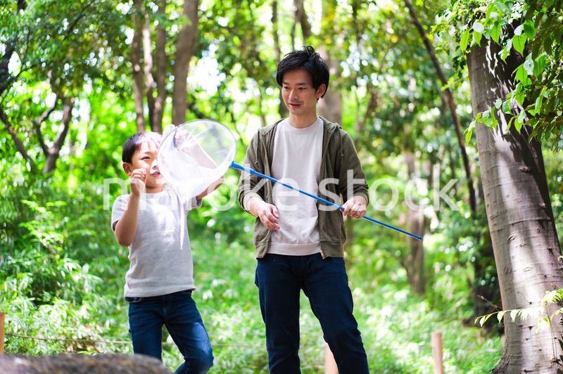 虫取りをする親子