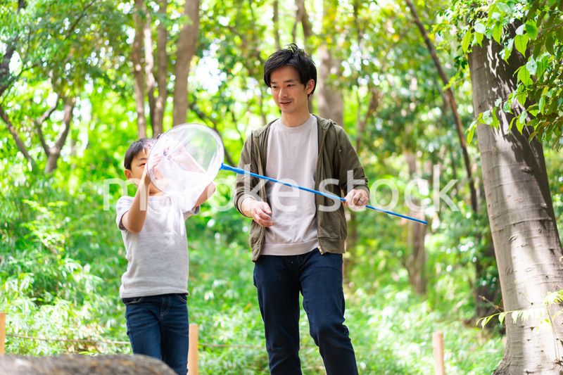 虫取りをするお父さんと男の子