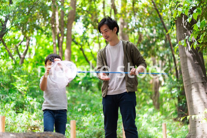 虫取りをするお父さんと男の子