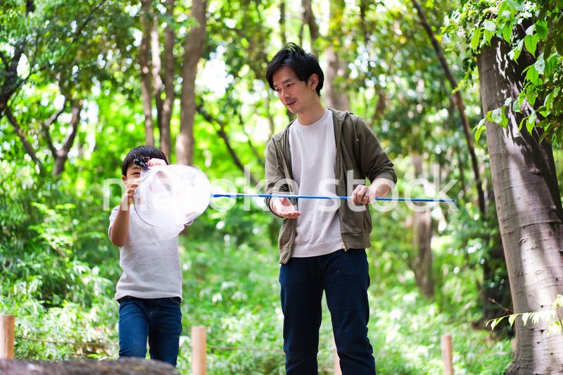 虫取りをする親子