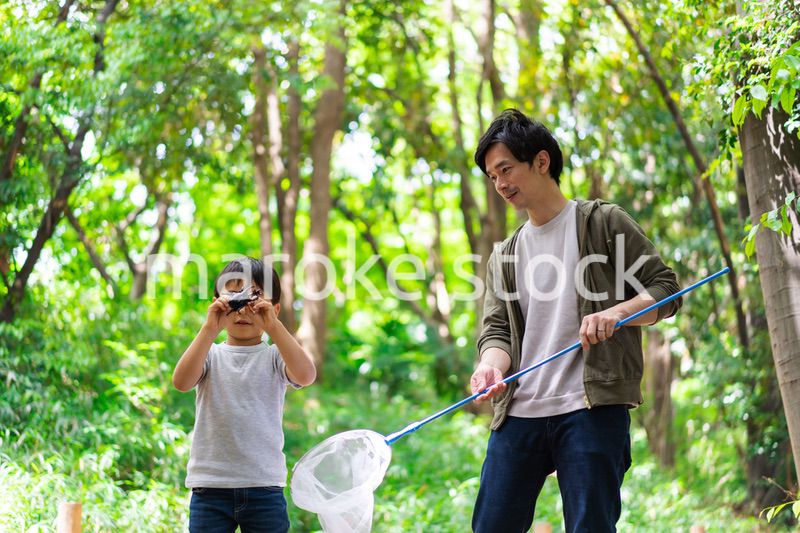 虫取りをするお父さんと男の子