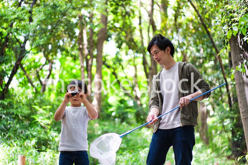 虫取りをする親子