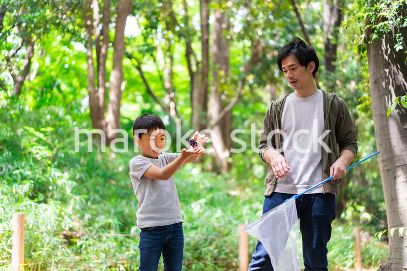 虫取りをするお父さんと男の子