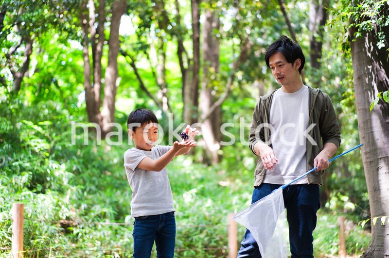 虫取りをする親子