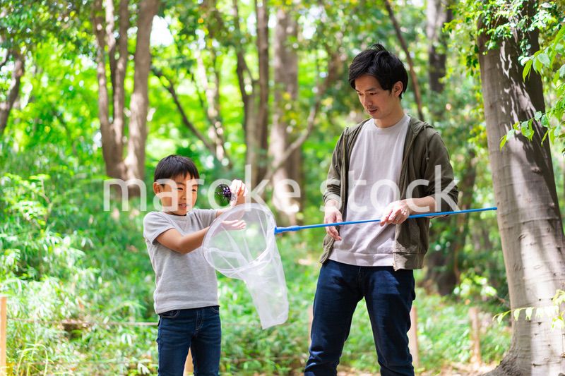 虫取りをするお父さんと男の子
