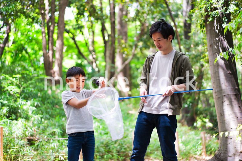 虫取りをする親子