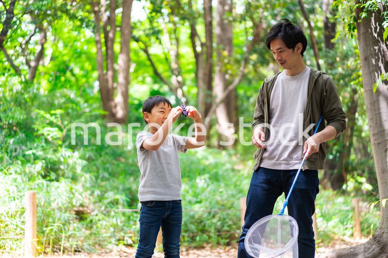 虫取りをするお父さんと男の子