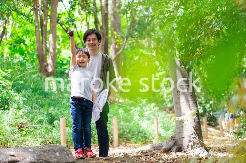 虫取りをするお父さんと男の子