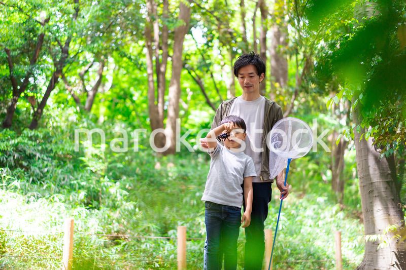 虫取りをするお父さんと男の子