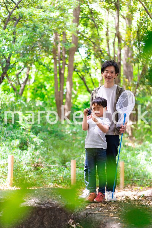 虫取りをするお父さんと男の子