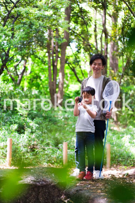 虫取りをする親子