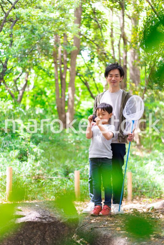 虫取りをするお父さんと男の子