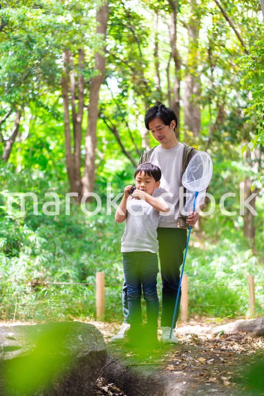 虫取りをするお父さんと男の子