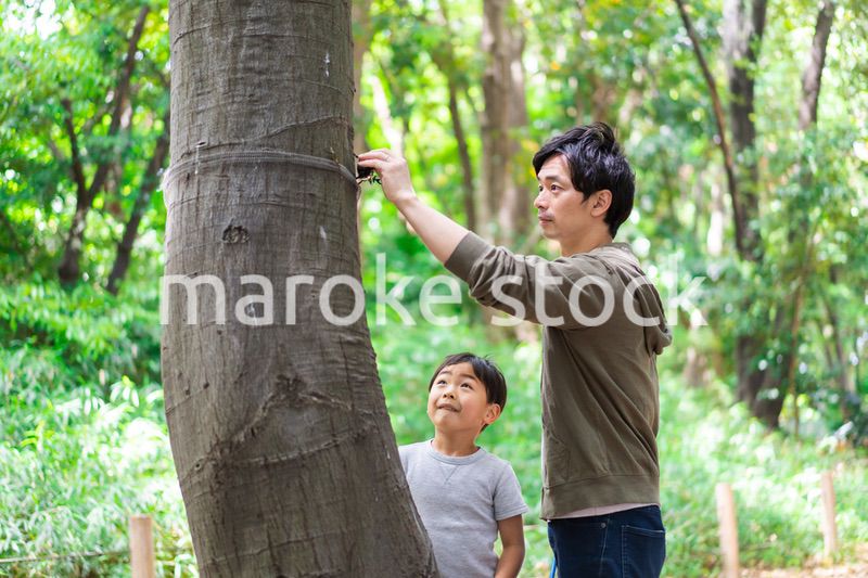 虫取りをするお父さんと男の子