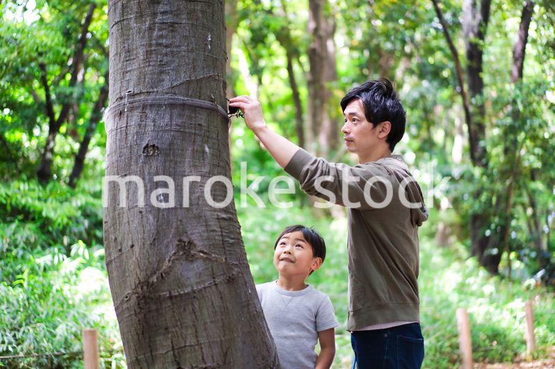 虫取りをする親子