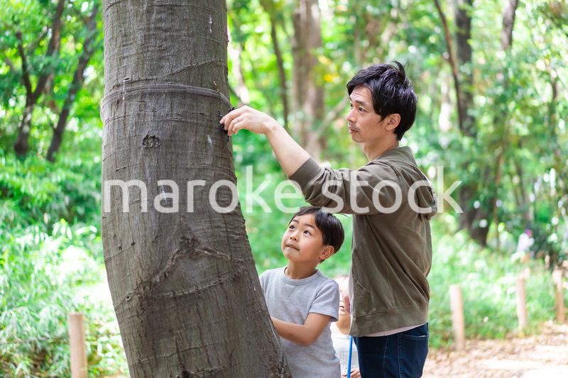 虫取りをするお父さんと男の子