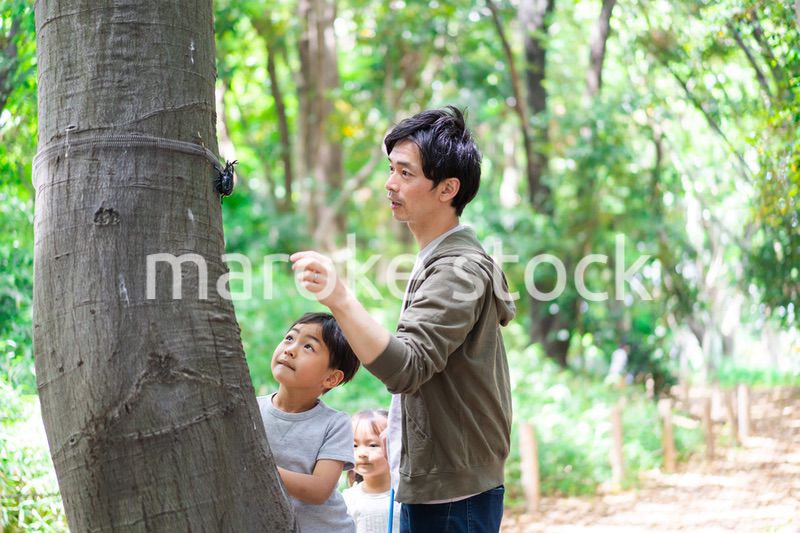虫取りをするお父さんと男の子