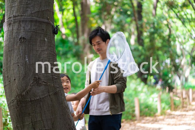 虫取りをするお父さんと男の子