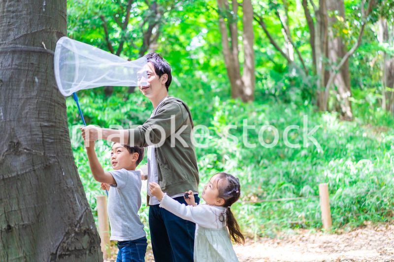 虫採りをするお父さんと子どもたち
