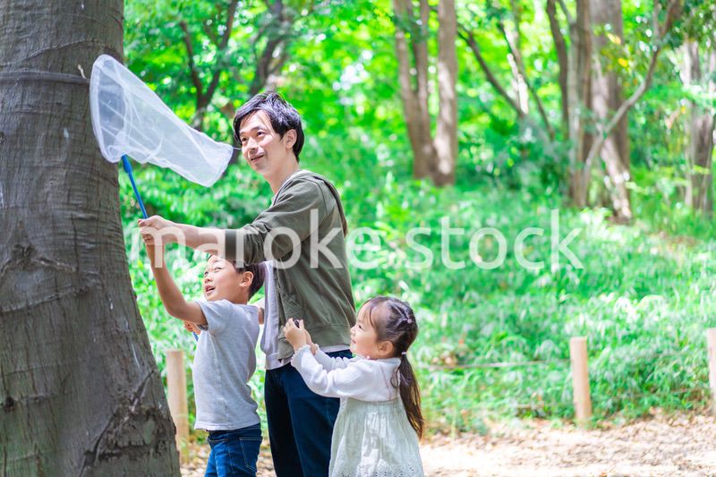 虫採りをするお父さんと子どもたち